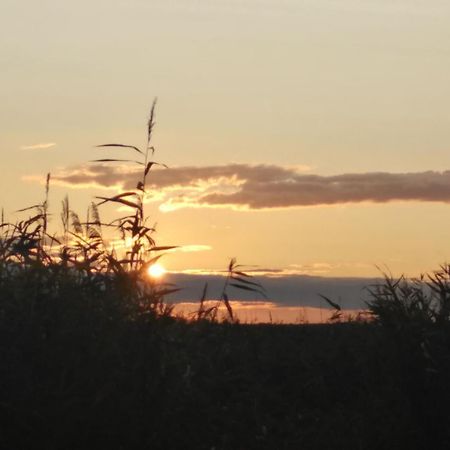 Pfahlbau Rust/Neusiedlersee Sunset I Villa Luaran gambar