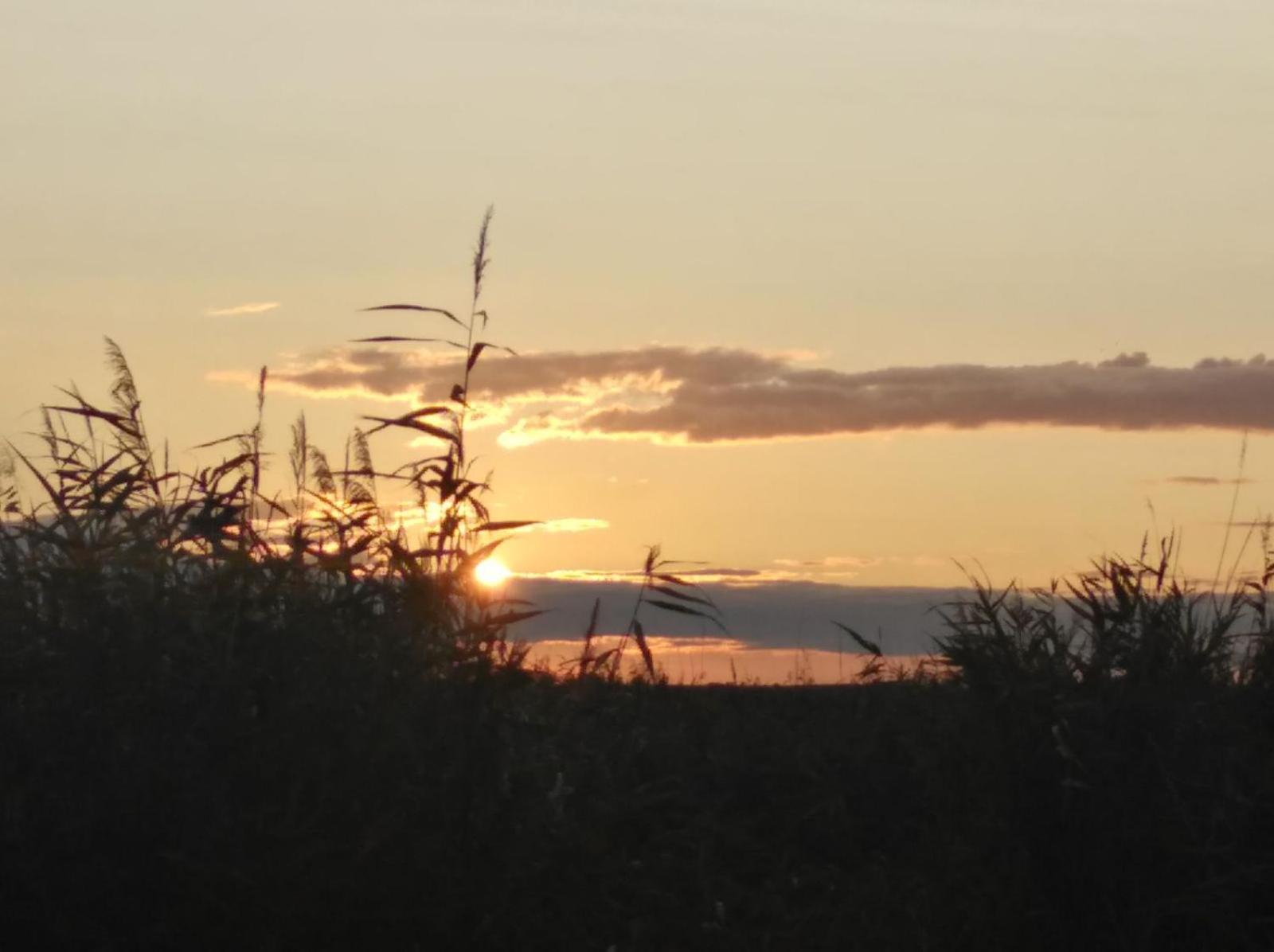 Pfahlbau Rust/Neusiedlersee Sunset I Villa Luaran gambar