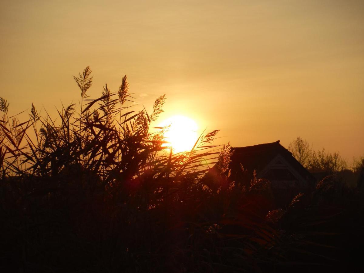 Pfahlbau Sunset I Toplage Elektroboot Inklusive Rust Luaran gambar