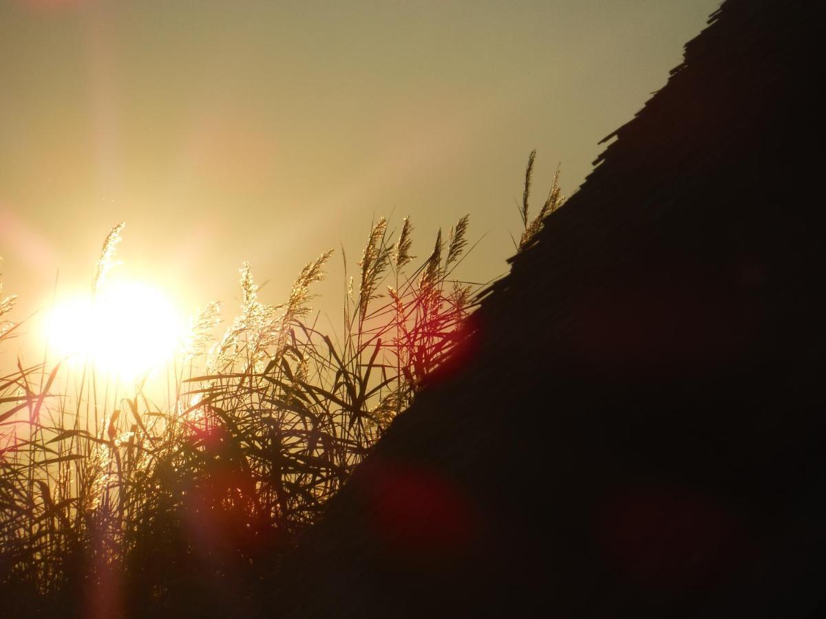 Pfahlbau Sunset I Toplage Elektroboot Inklusive Rust Luaran gambar