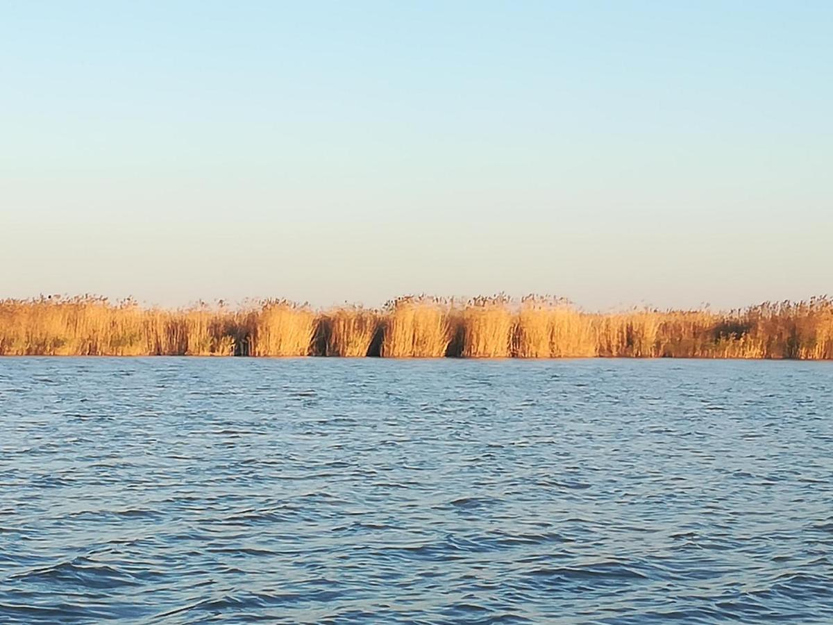 Pfahlbau Rust/Neusiedlersee Sunset I Villa Luaran gambar