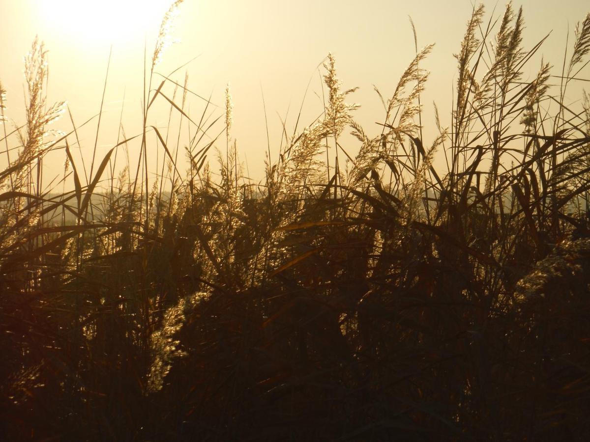 Pfahlbau Sunset I Toplage Elektroboot Inklusive Rust Luaran gambar